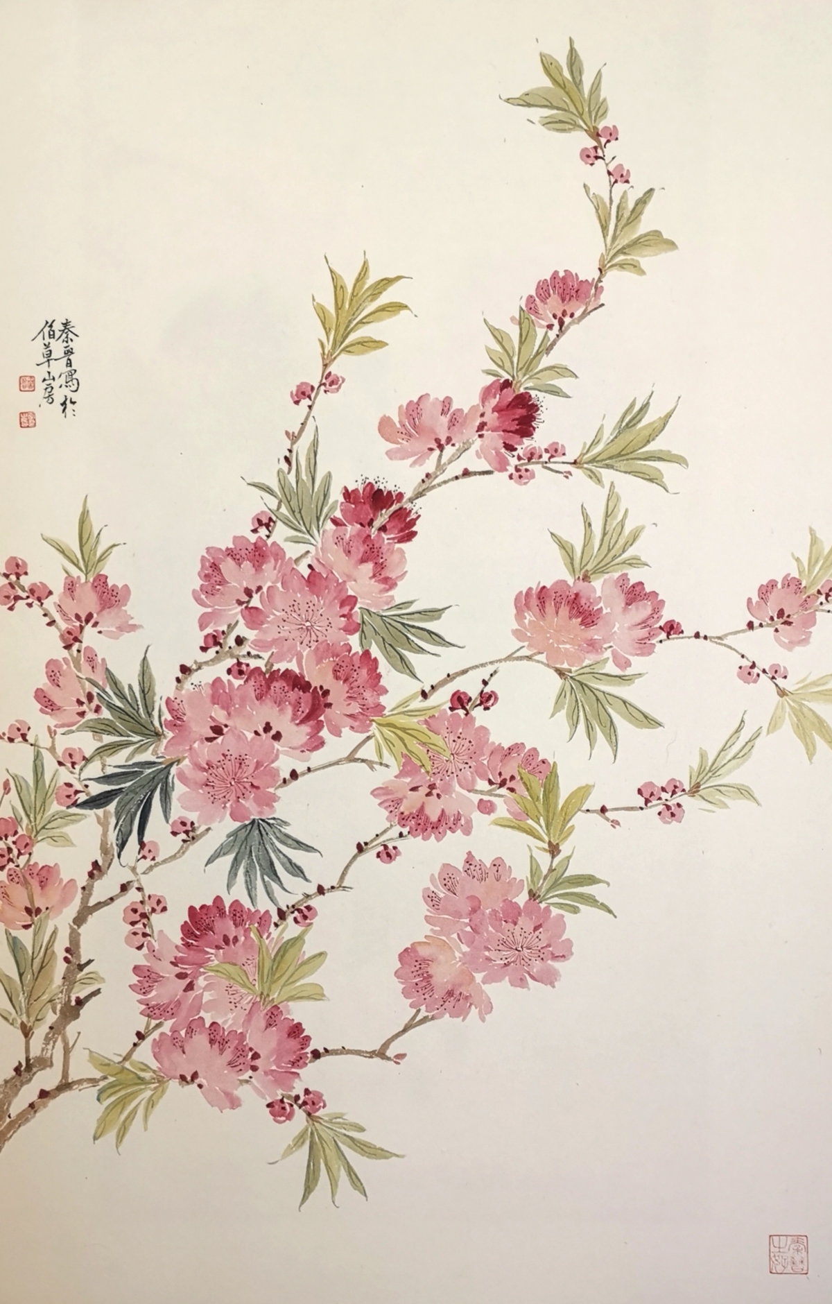 Qinjin Song (宋秦晋),Crabapple (西府海棠), ink and colour on rice paper 纸本设色, 68 x 45 cm (26.72x 17.68 inches), 2022